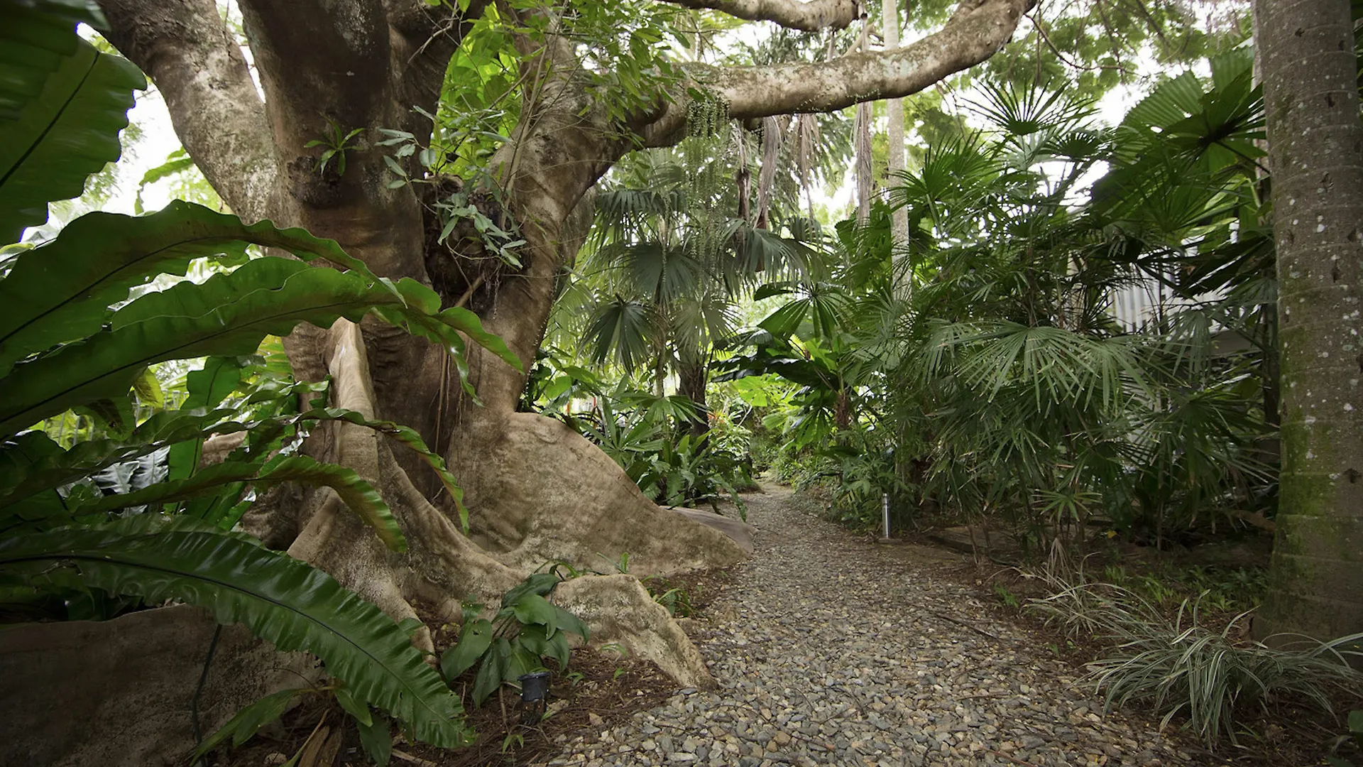 Castaways Resort & Spa On Mission Beach