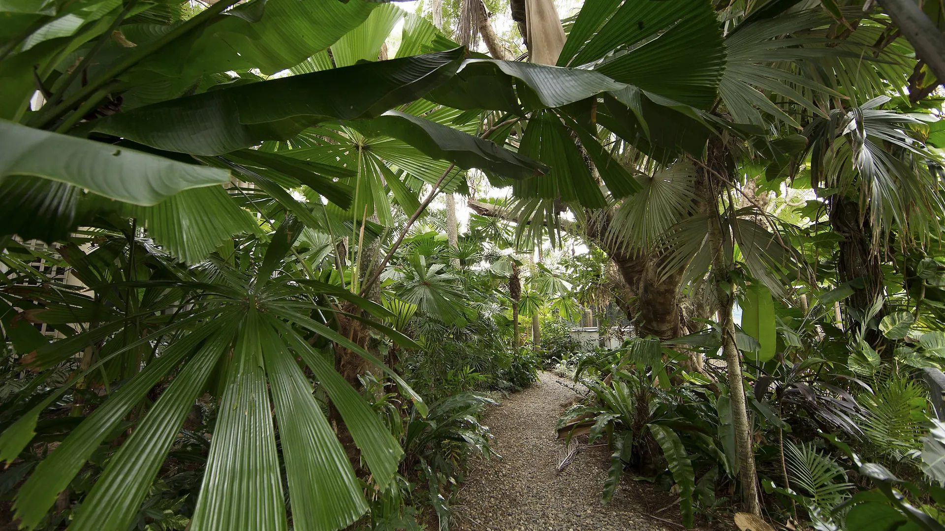 Castaways Resort & Spa On Mission Beach